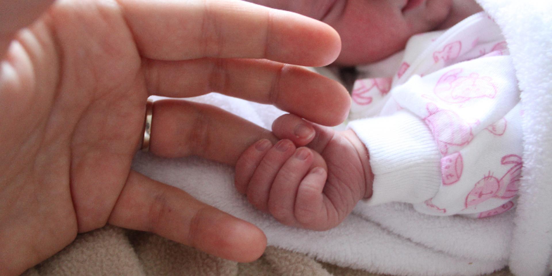 baby holds adult finger