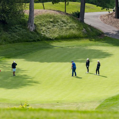 Wide shot of four golfers on green