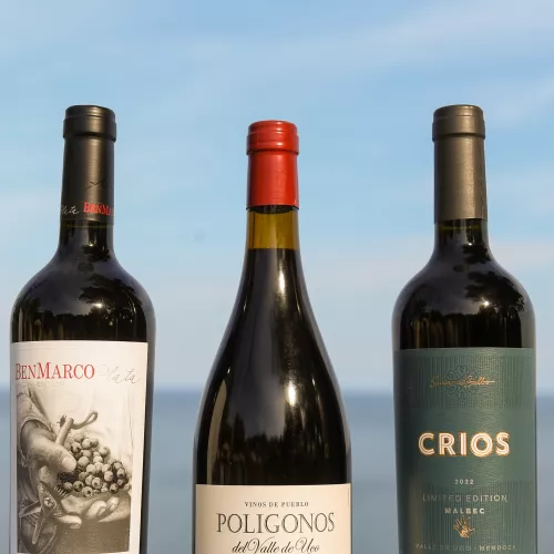 A Celebration of Food and Wine - 2024