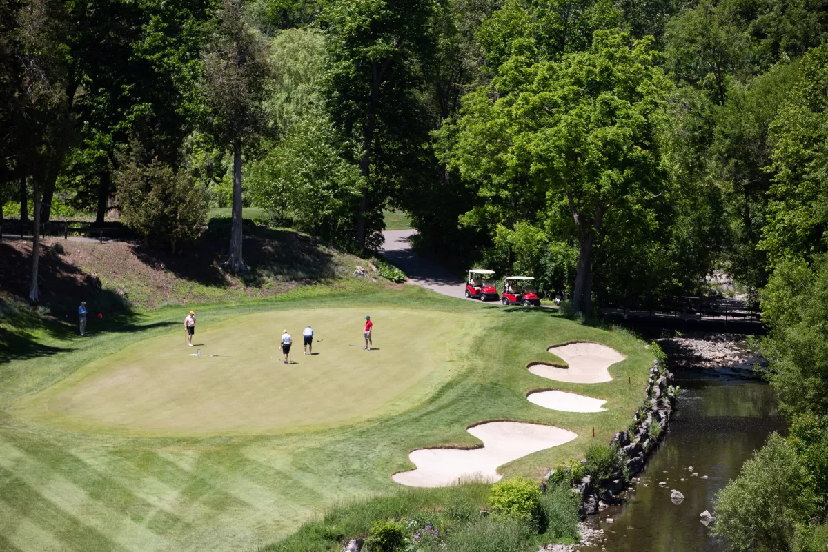 mghfgt_gc-50.jpg Thumbnail