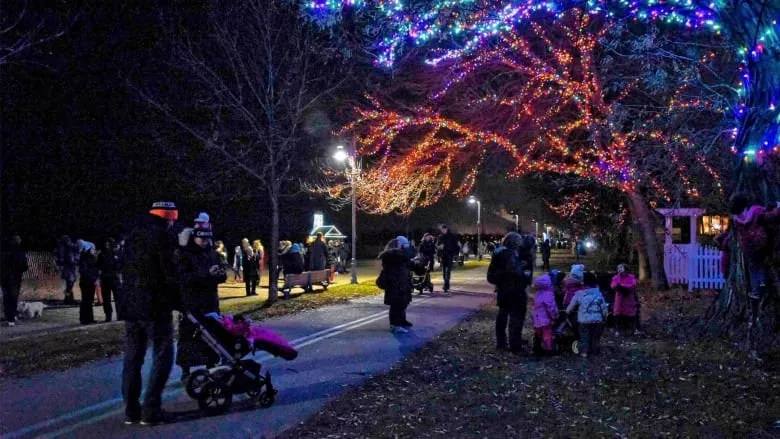 LIght up the beach  Light up the beach lights